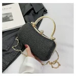 sac noir pailleté pour fêtes